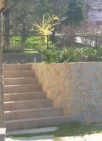 /album/fenykepgaleria/kert-reszlet-jpg/